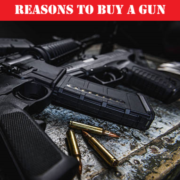 Important Reasons to Buy a Gun